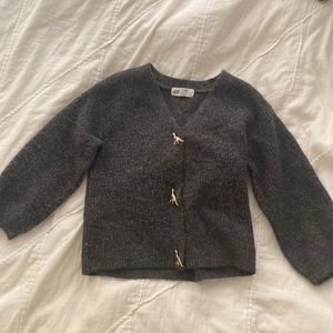 Charcoal Grey Cardigan with Gold Dinosaur Buttons